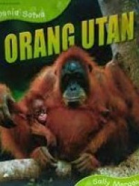 Image of Dunia Satwa: Orang Utan