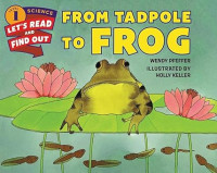 Image of From Tadpole to Frog