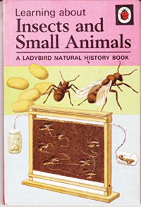 Image of Learning About Insect and Small Animals